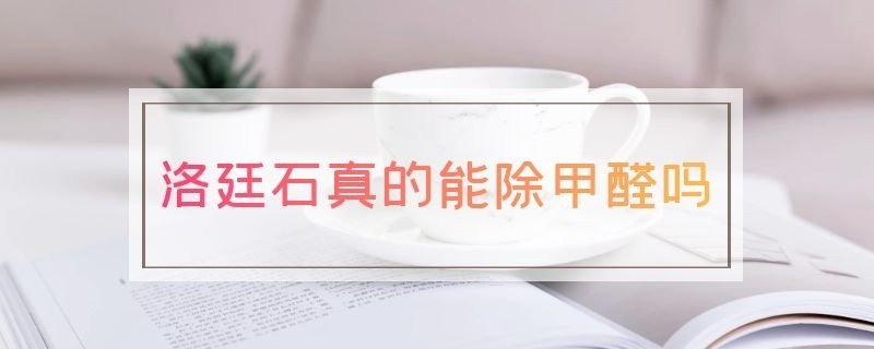 洛廷石真的能除甲醛吗?
