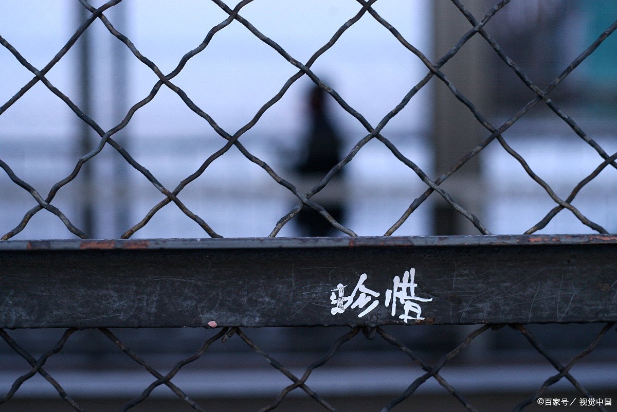 99977是什么意思