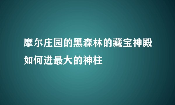 摩尔庄园的黑森林的藏宝神殿如何进最大的神柱