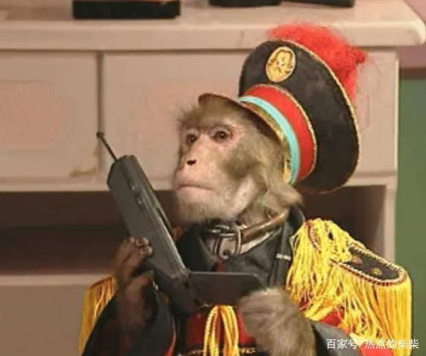 80后的童年记忆和阴影，《动物王国窃案》，是世界首创动物电视剧吗？