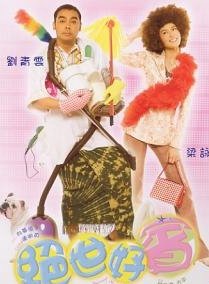 求一部香港电影 好像是刘青云主演 内容是他饰演的男主角应聘女主的保镖 谢谢