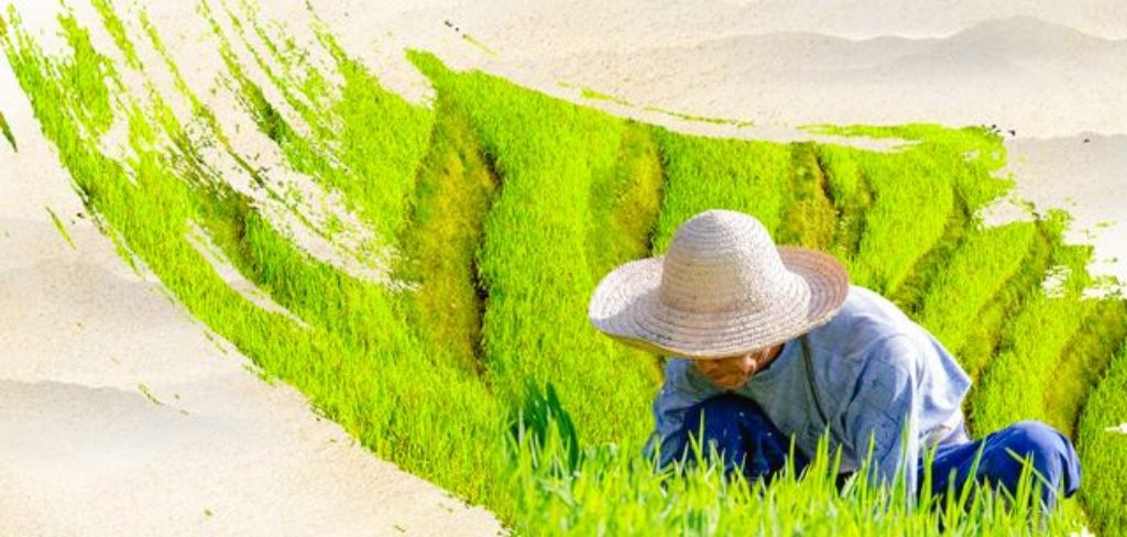 北京城十二座著名古寺，祈求什么最灵验？