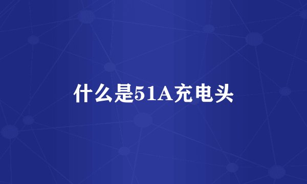 什么是51A充电头