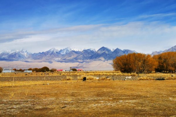 中国有哪五个高原