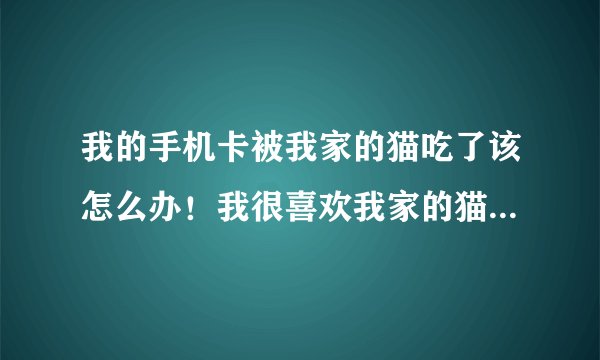 我的手机卡被我家的猫吃了该怎么办！我很喜欢我家的猫！手机卡没登记过身份证也不知道服务密码！请问我该