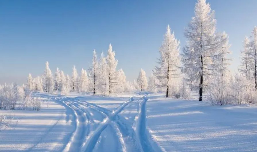雪的诗句有哪些