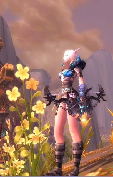 54魔兽求一套猎人的性感幻化套装还往大神能详细告知各装备出处,100分加成