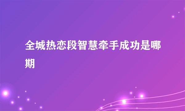 全城热恋段智慧牵手成功是哪期