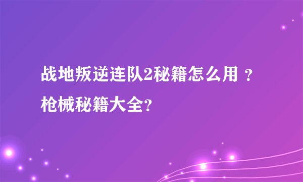战地叛逆连队2秘籍怎么用 ？枪械秘籍大全？