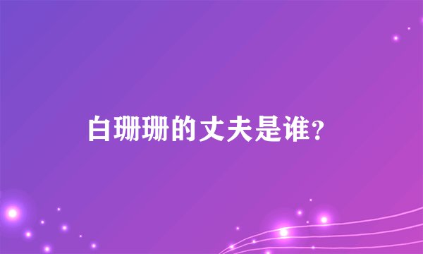白珊珊的丈夫是谁？