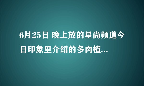 6月25日 晚上放的星尚频道今日印象里介绍的多肉植物种植在哪里？自己DIY种植的，苏梦拍的