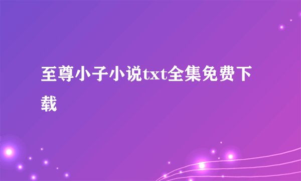至尊小子小说txt全集免费下载