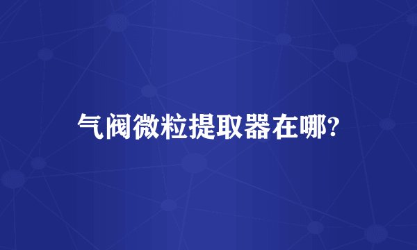 气阀微粒提取器在哪?