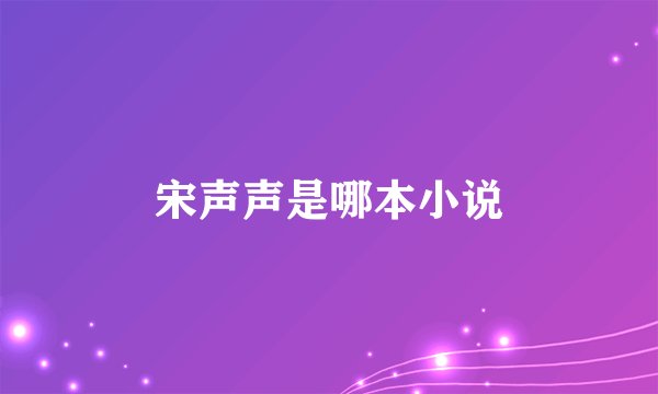 宋声声是哪本小说