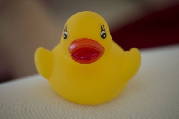 rubber duck什么意思