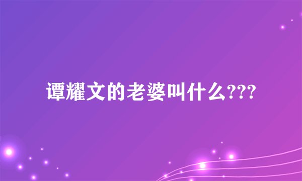 谭耀文的老婆叫什么???