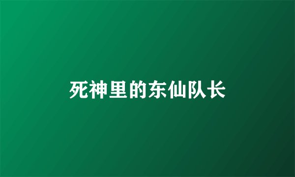 死神里的东仙队长