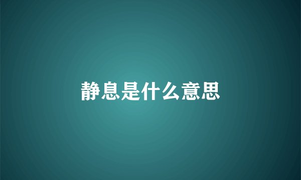 静息是什么意思