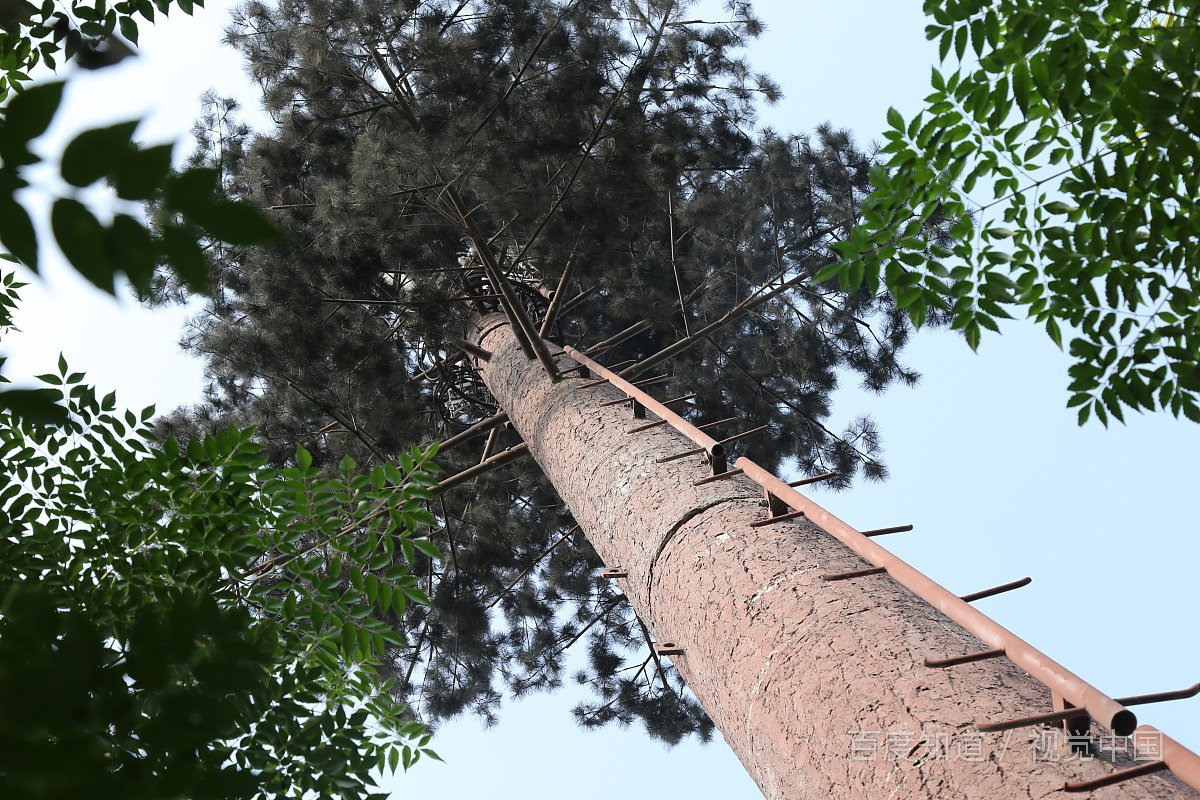 怎样给别人发匿名短信呢？