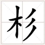 “杉”可以组什么词语？