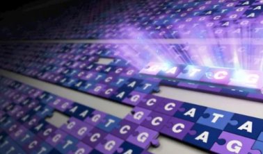 完整人类基因组首次被破译，本研究成果的关键进展利用了什么新的技术设备？