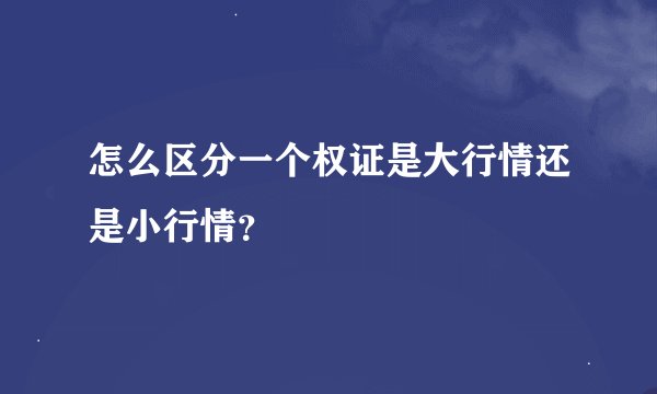 怎么区分一个权证是大行情还是小行情？