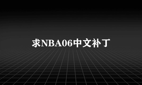 求NBA06中文补丁