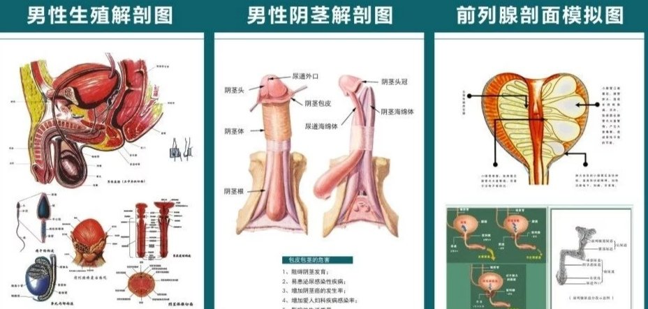 前列腺自己怎么按摩？