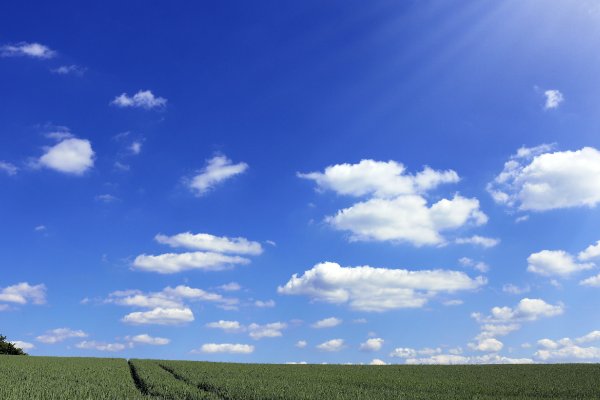 只手遮天形容什么