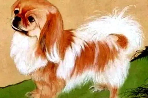 捉贼见赃比喻什么生肖