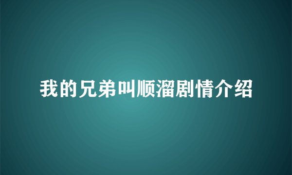 我的兄弟叫顺溜剧情介绍