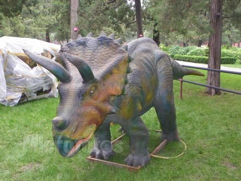 中国恐龙大调查的介绍