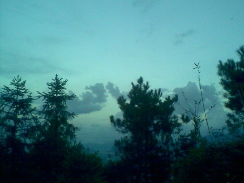 我们住过的那条街的介绍