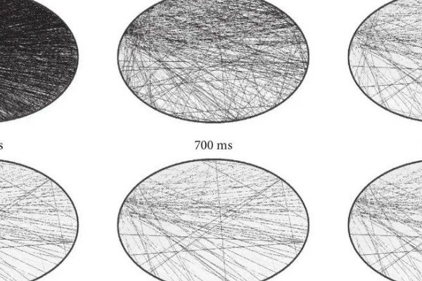 grayscale什么意思