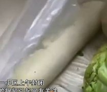 北京一小区突然封闭下午就开始发菜，网友对这一幕是如何评价的？