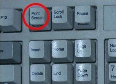 怎样用画图软件进行截图