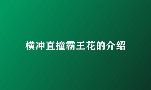 横冲直撞霸王花的介绍