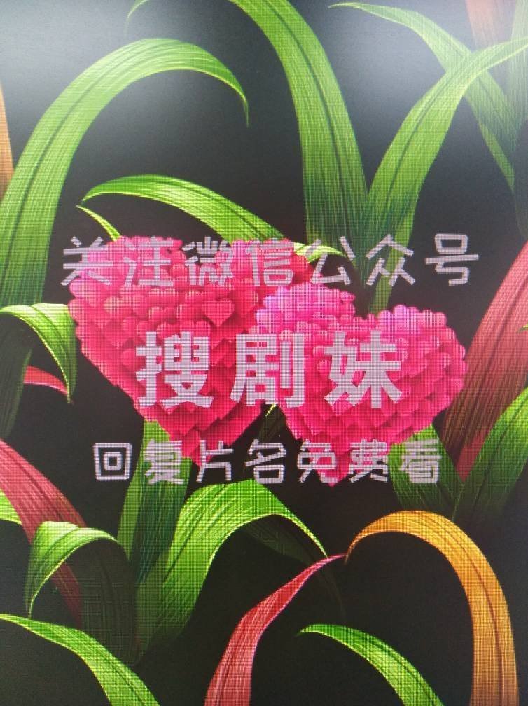 求《灵魂摆渡》1-3季的高清百度云资源！