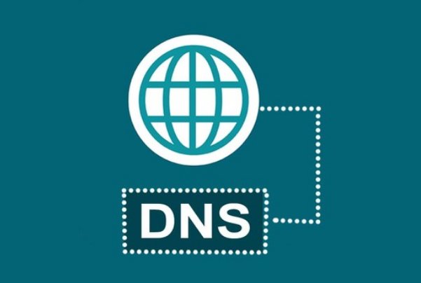 dns地址怎么填写