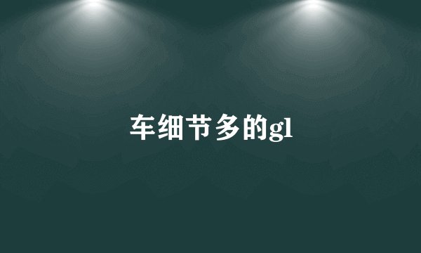 车细节多的gl