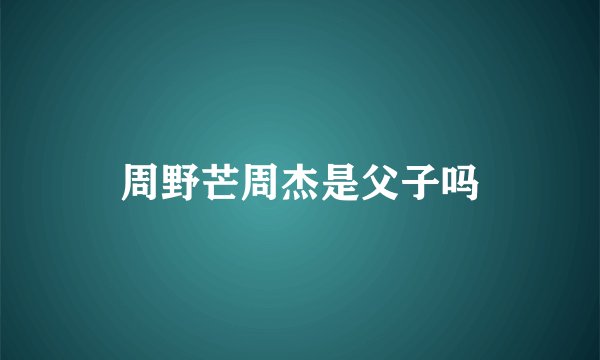 周野芒周杰是父子吗