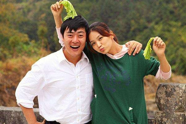 野鸭子电视剧剧情介绍