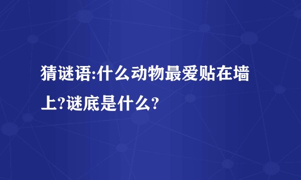 猜谜语:什么动物最爱贴在墙上?谜底是什么?
