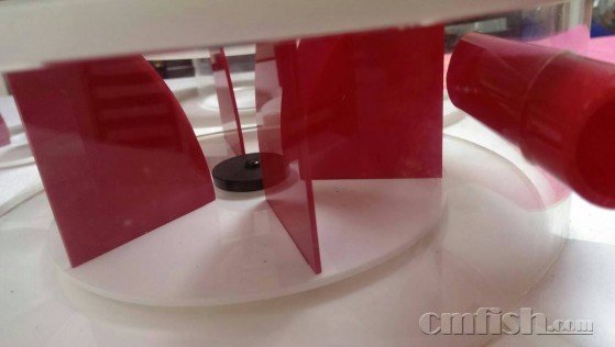 台湾龙卷风的介绍