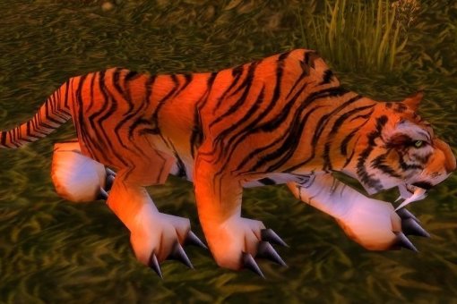 荆棘谷的黑豹和荆棘谷猛虎在什么地方