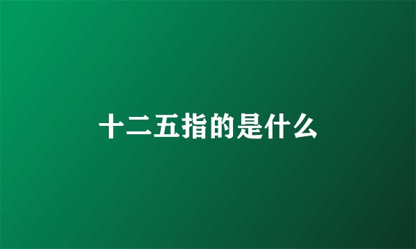 十二五指的是什么