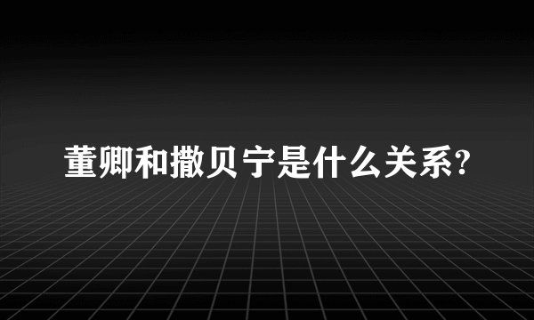 董卿和撒贝宁是什么关系?