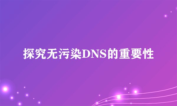 探究无污染DNS的重要性