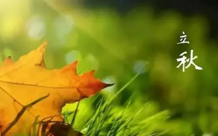 七月九日是什么日子