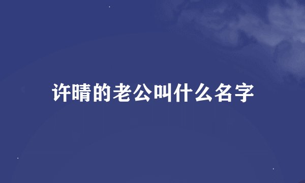 许晴的老公叫什么名字